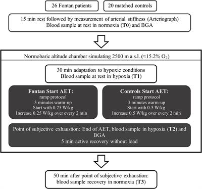 Altered Hemorheology in Fontan Patients in Normoxia and After Acute Hypoxic Exercise